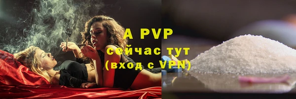ECSTASY Горно-Алтайск