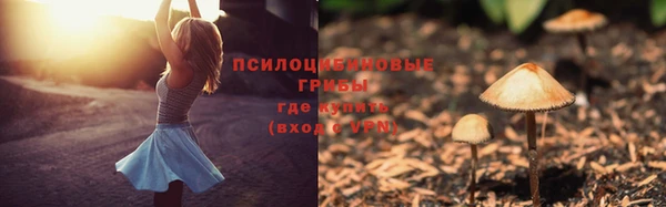 МДПВ Горняк