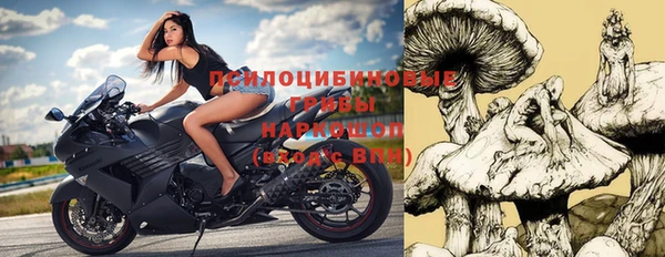 тгк Горнозаводск