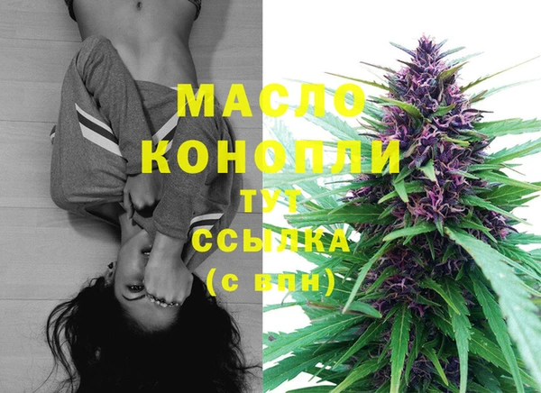 МДПВ Горняк