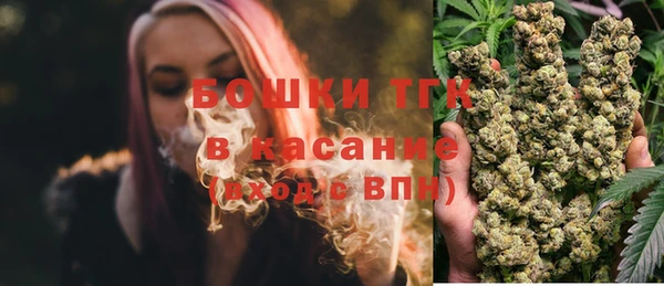 тгк Горнозаводск