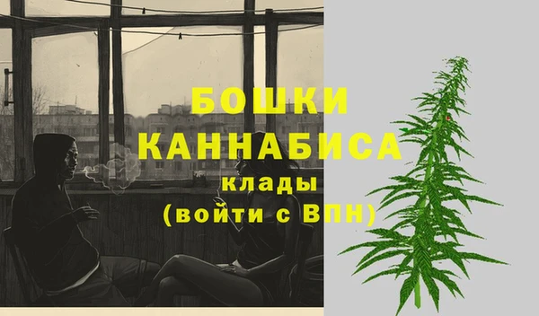 тгк Горнозаводск