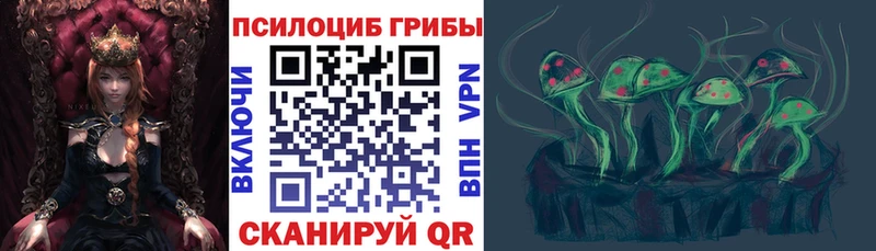 Псилоцибиновые грибы GOLDEN TEACHER  Купить  Багратионовск 