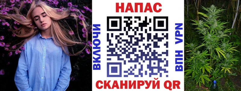 Купить где  Багратионовск  Канабис тримм 